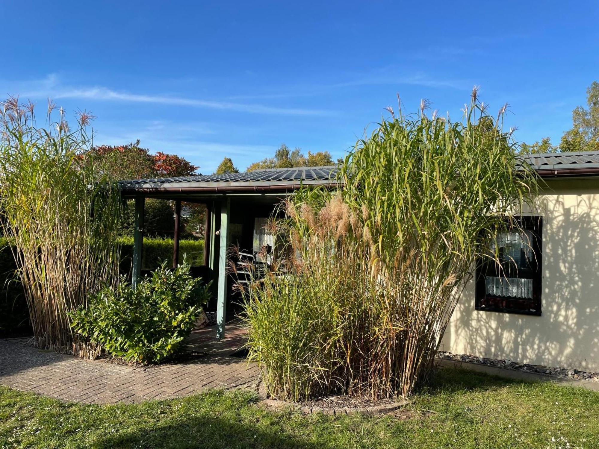 Holiday Home Am Walde-1 By Interhome Dobbertin 外观 照片